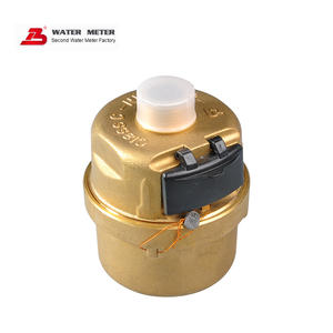 Volumetric water meter